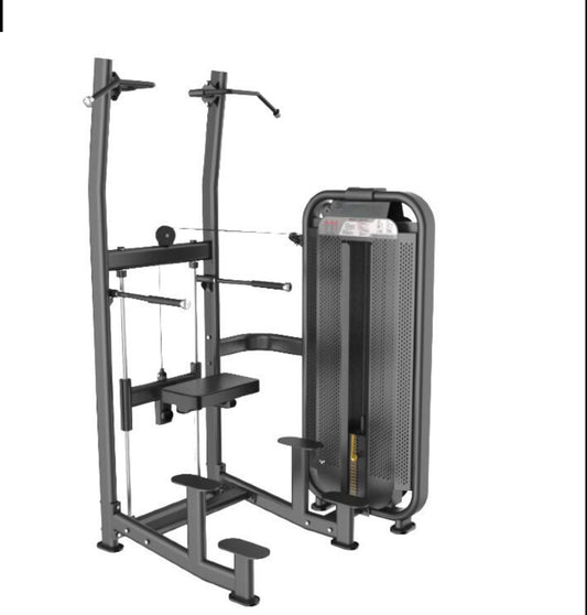 CDR13 Weight Assisted Chin+ Dip - Core Dynamix