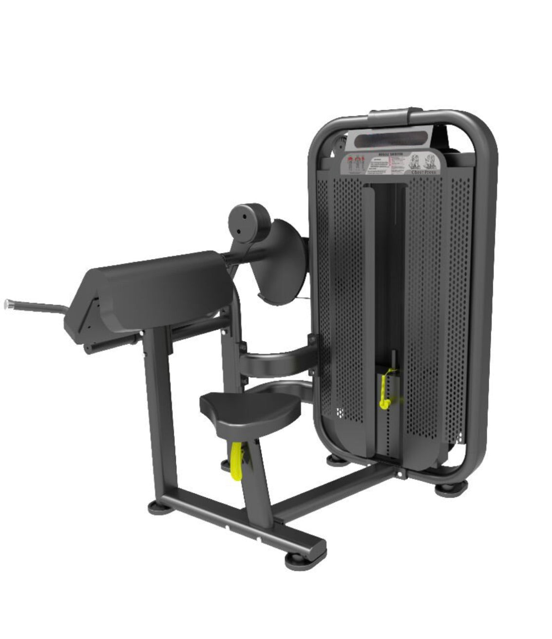 CDR6 Arm Curl - Core Dynamix