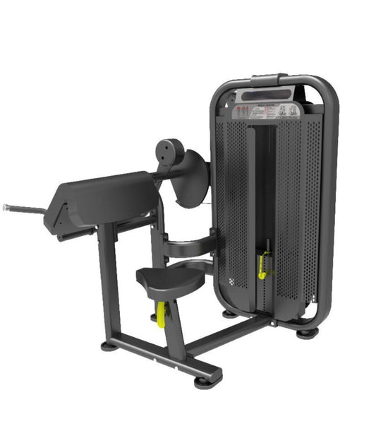 CDR6 Arm Curl - Core Dynamix